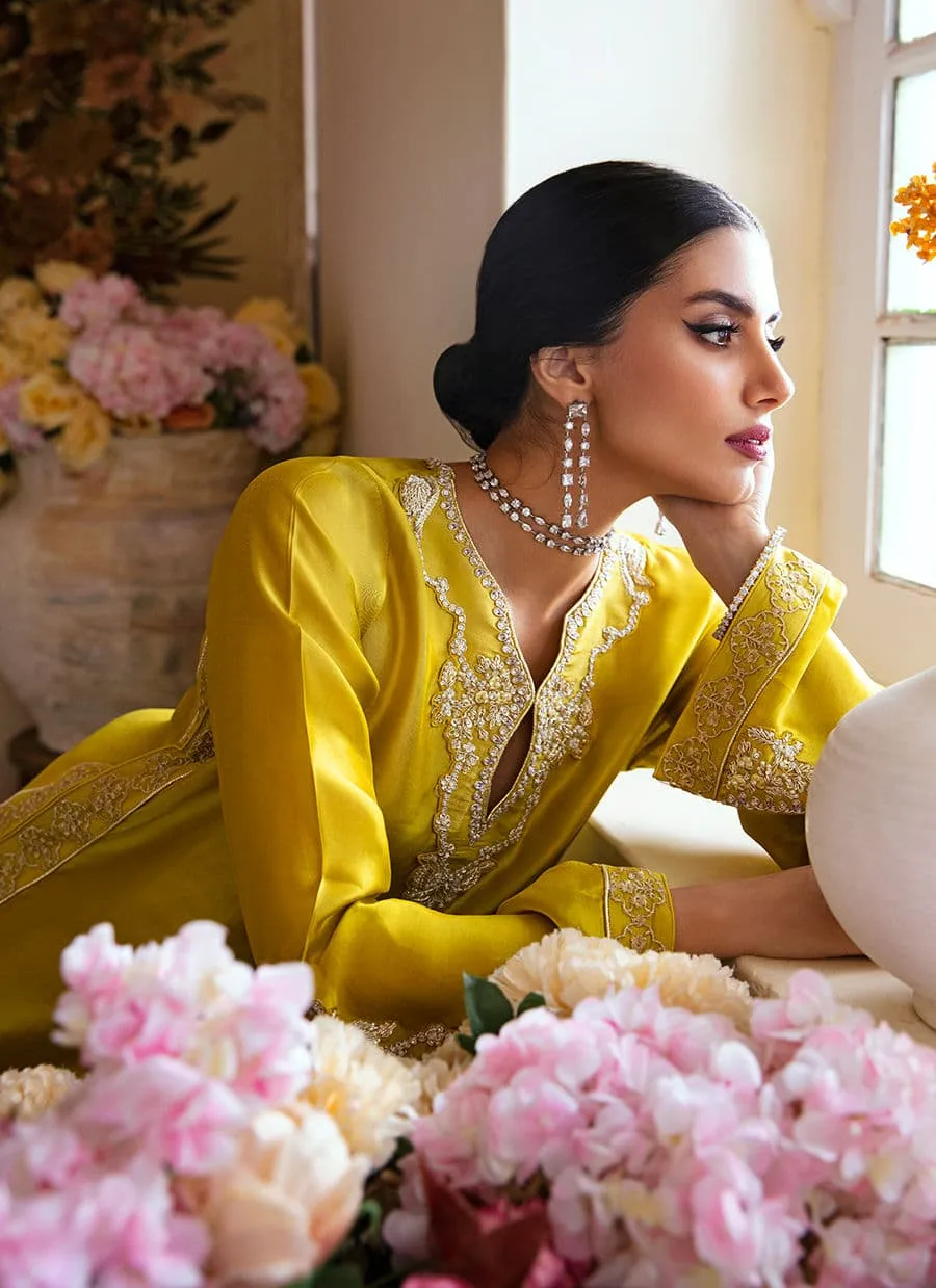 Farah Talib Aziz Mayna Festive Luxe Silk – view 4 – Poshaq