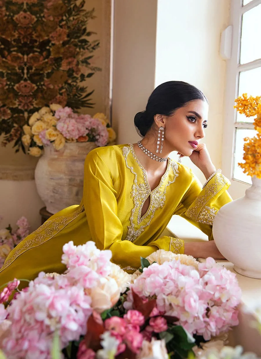Farah Talib Aziz Mayna Festive Luxe Silk – view 7 – Poshaq