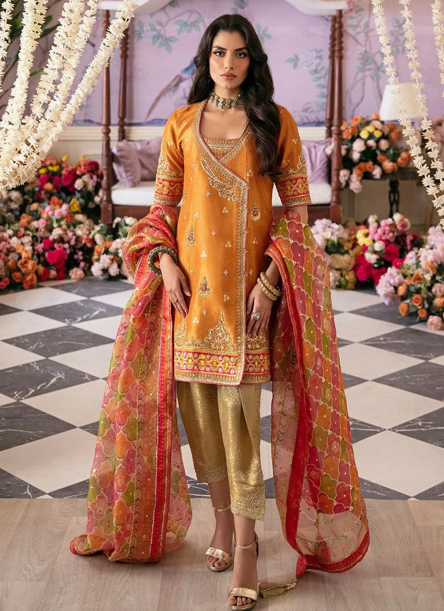 Farah Talib Aziz Mayna Festive Luxe Orange Organza – view 1 – Poshaq