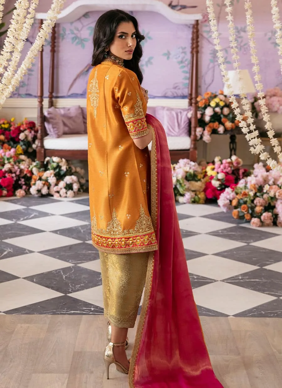 Farah Talib Aziz Mayna Festive Luxe Orange Organza – view 2 – Poshaq