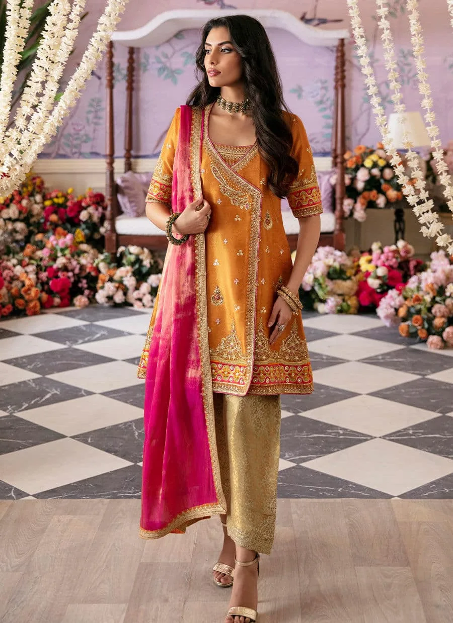 Farah Talib Aziz Mayna Festive Luxe Orange Organza – view 4 – Poshaq