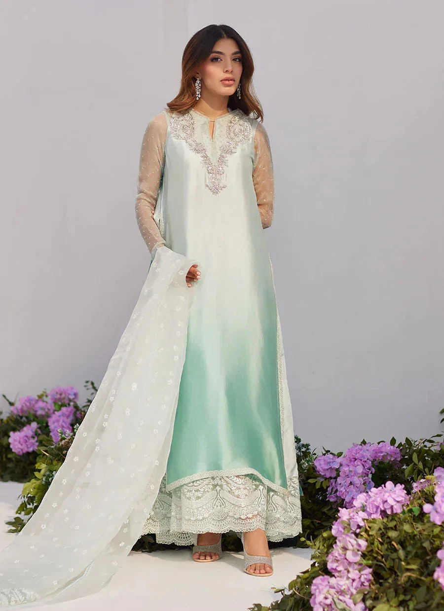Farah Talib Aziz Zaza Luxe Pret 24 Silver Organza – view 1 – Poshaq