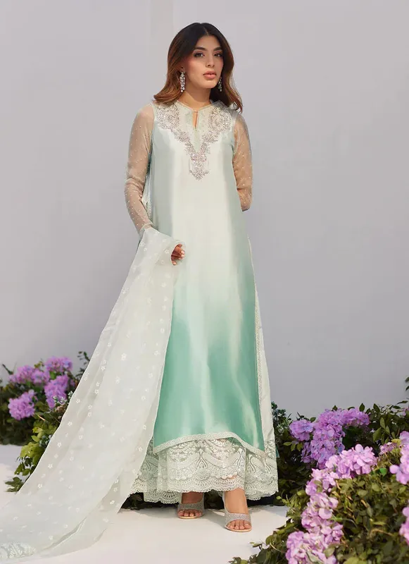 Farah Talib Aziz Zaza Luxe Pret 24 Silver Organza – view 1 – Poshaq