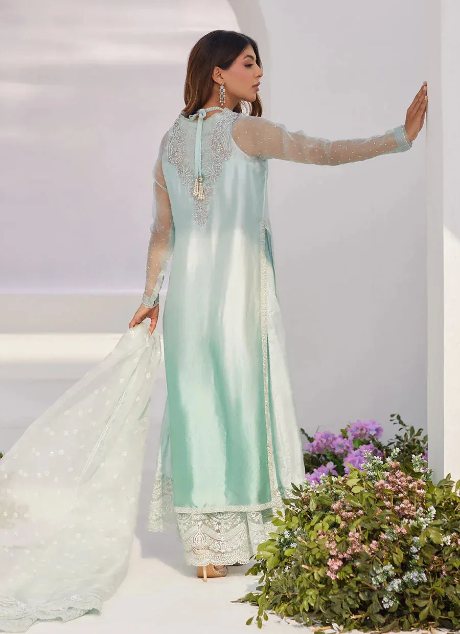 Farah Talib Aziz Zaza Luxe Pret 24 Silver Organza – view 2 – Poshaq