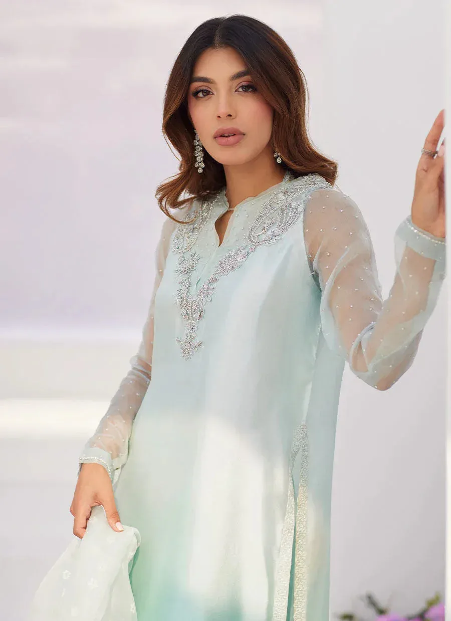Farah Talib Aziz Zaza Luxe Pret 24 Silver Organza – view 3 – Poshaq