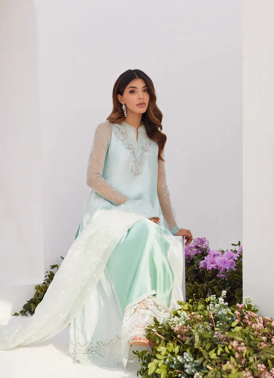 Farah Talib Aziz Zaza Luxe Pret 24 Silver Organza – view 4 – Poshaq