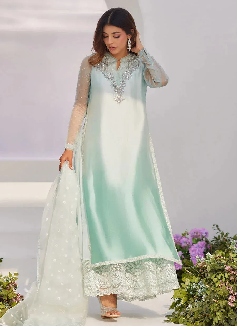Farah Talib Aziz Zaza Luxe Pret 24 Silver Organza – view 5 – Poshaq