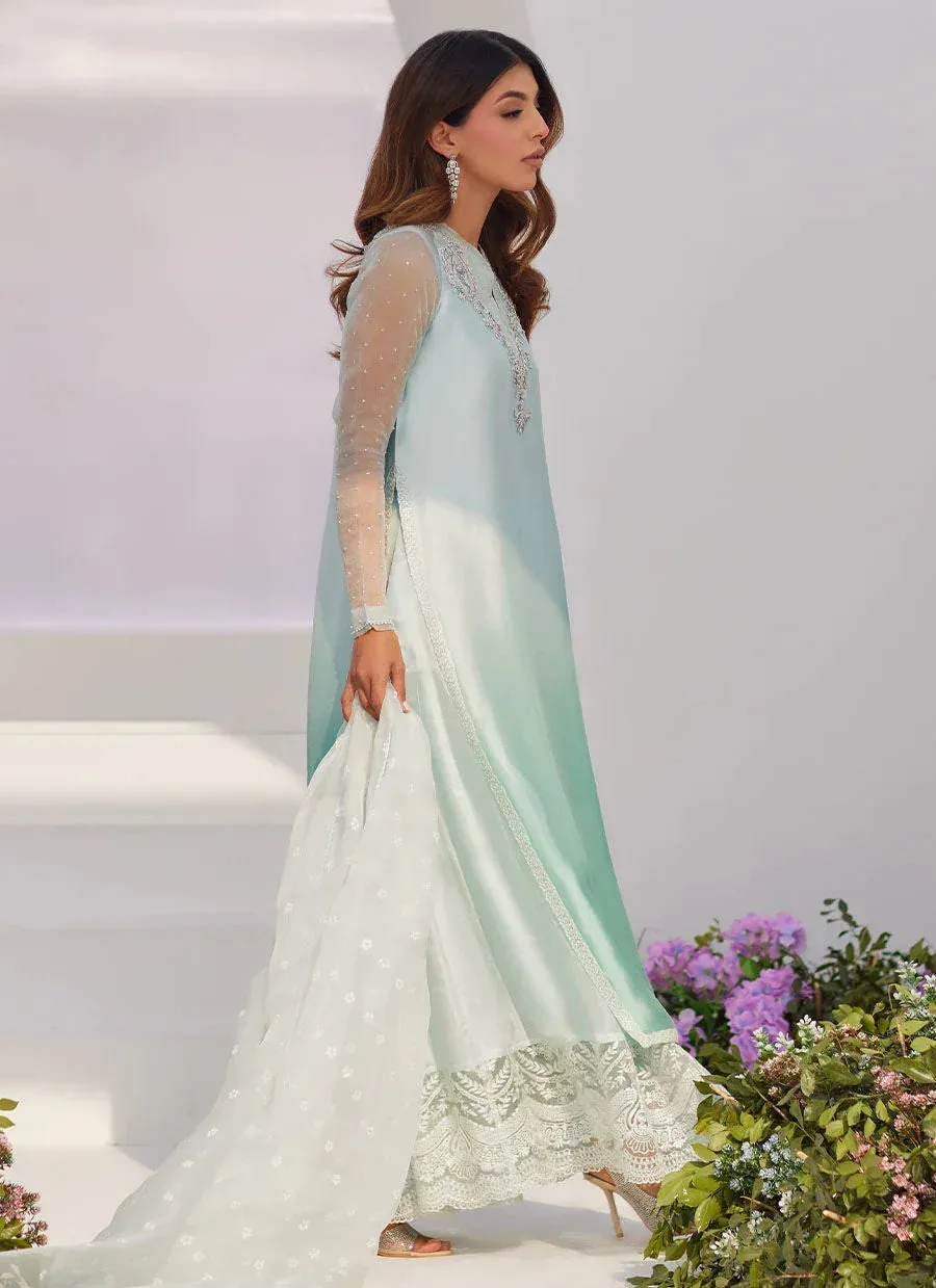 Farah Talib Aziz Zaza Luxe Pret 24 Silver Organza – view 6 – Poshaq