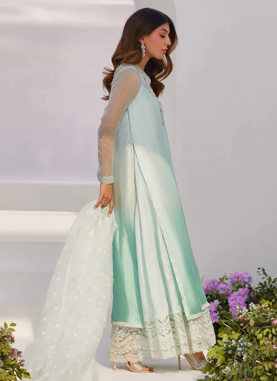 Farah Talib Aziz Zaza Luxe Pret 24 Silver Organza – view 7 – Poshaq