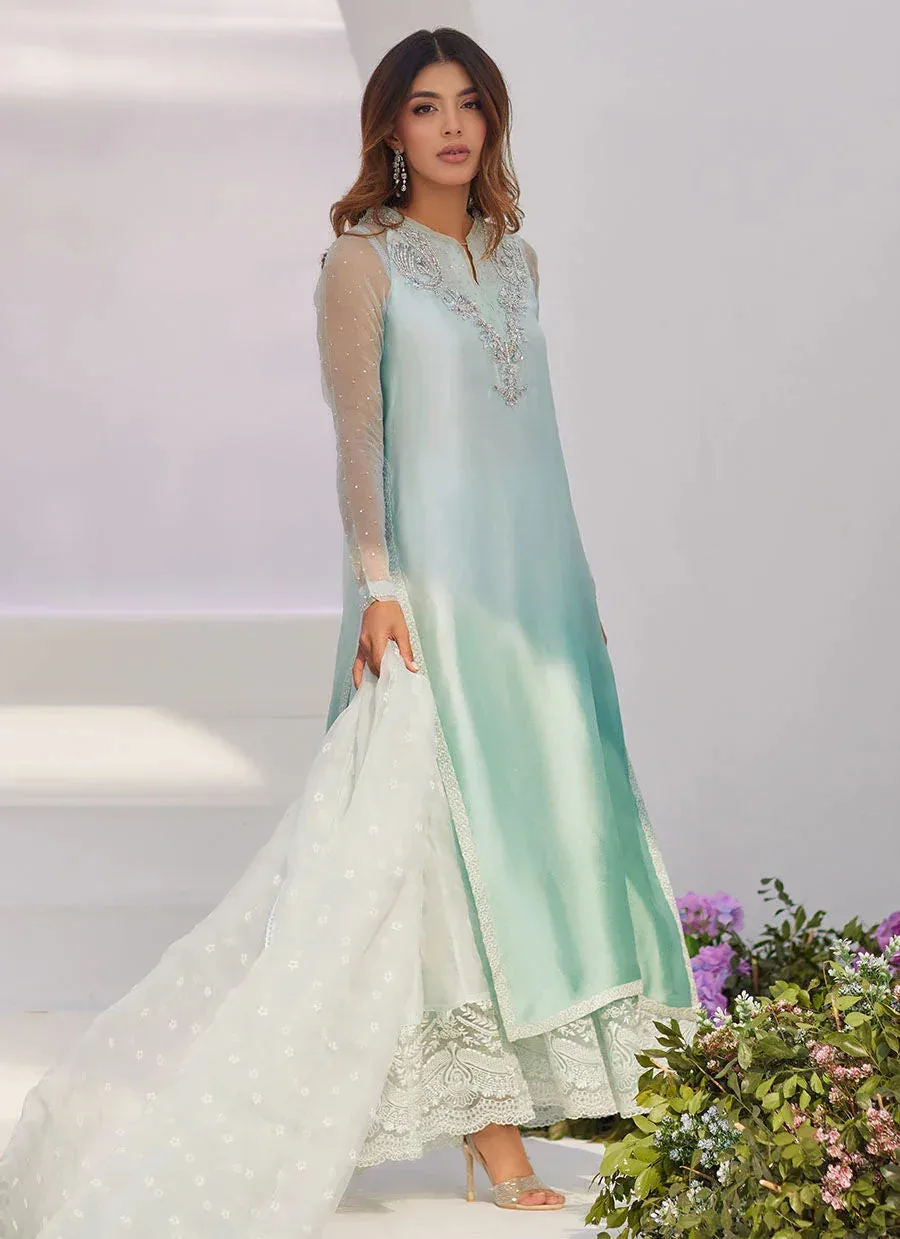 Farah Talib Aziz Zaza Luxe Pret 24 Silver Organza – view 8 – Poshaq