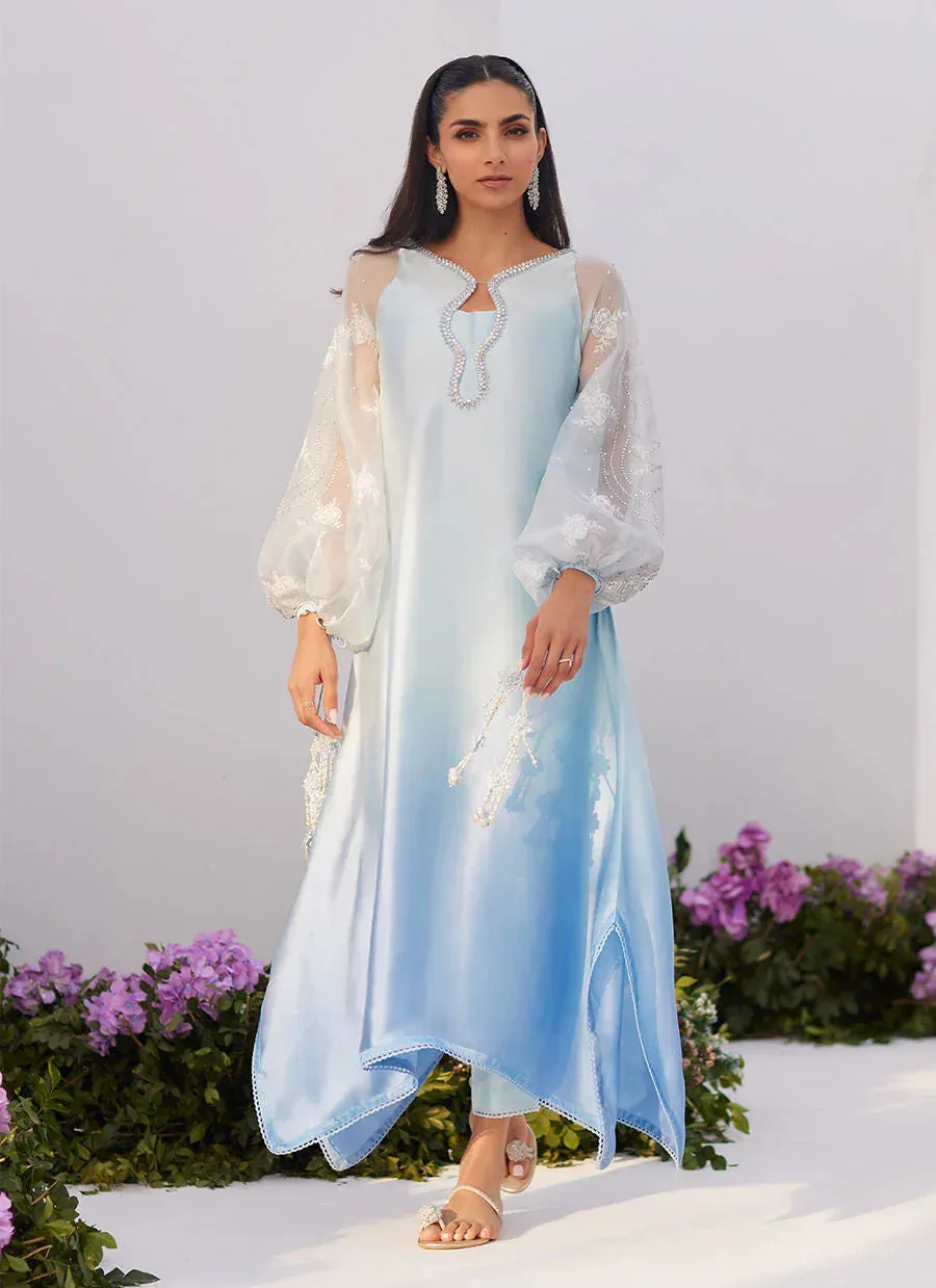 Farah Talib Aziz Zaza Luxe Pret 24 Blue Organza – view 1 – Poshaq
