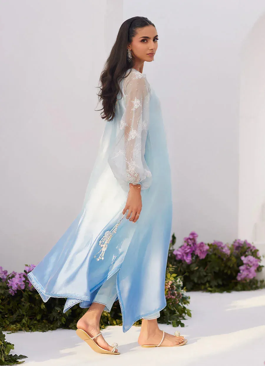 Farah Talib Aziz Zaza Luxe Pret 24 Blue Organza – view 2 – Poshaq