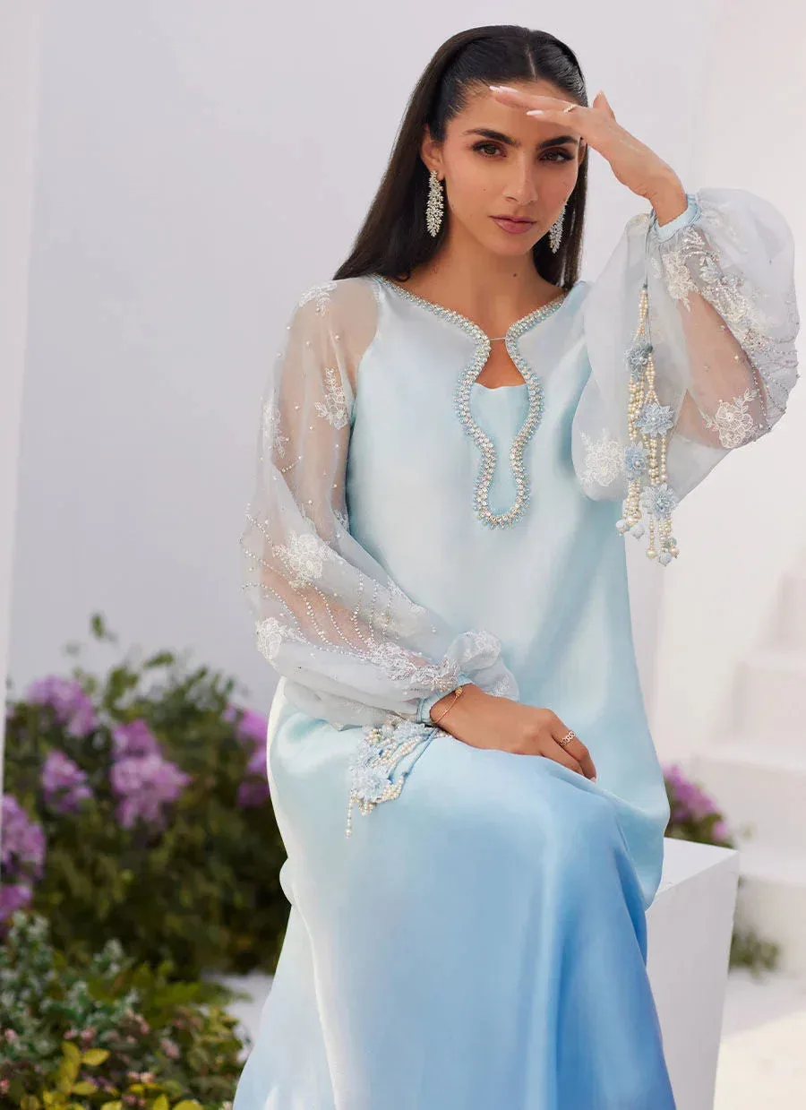 Farah Talib Aziz Zaza Luxe Pret 24 Blue Organza – view 3 – Poshaq