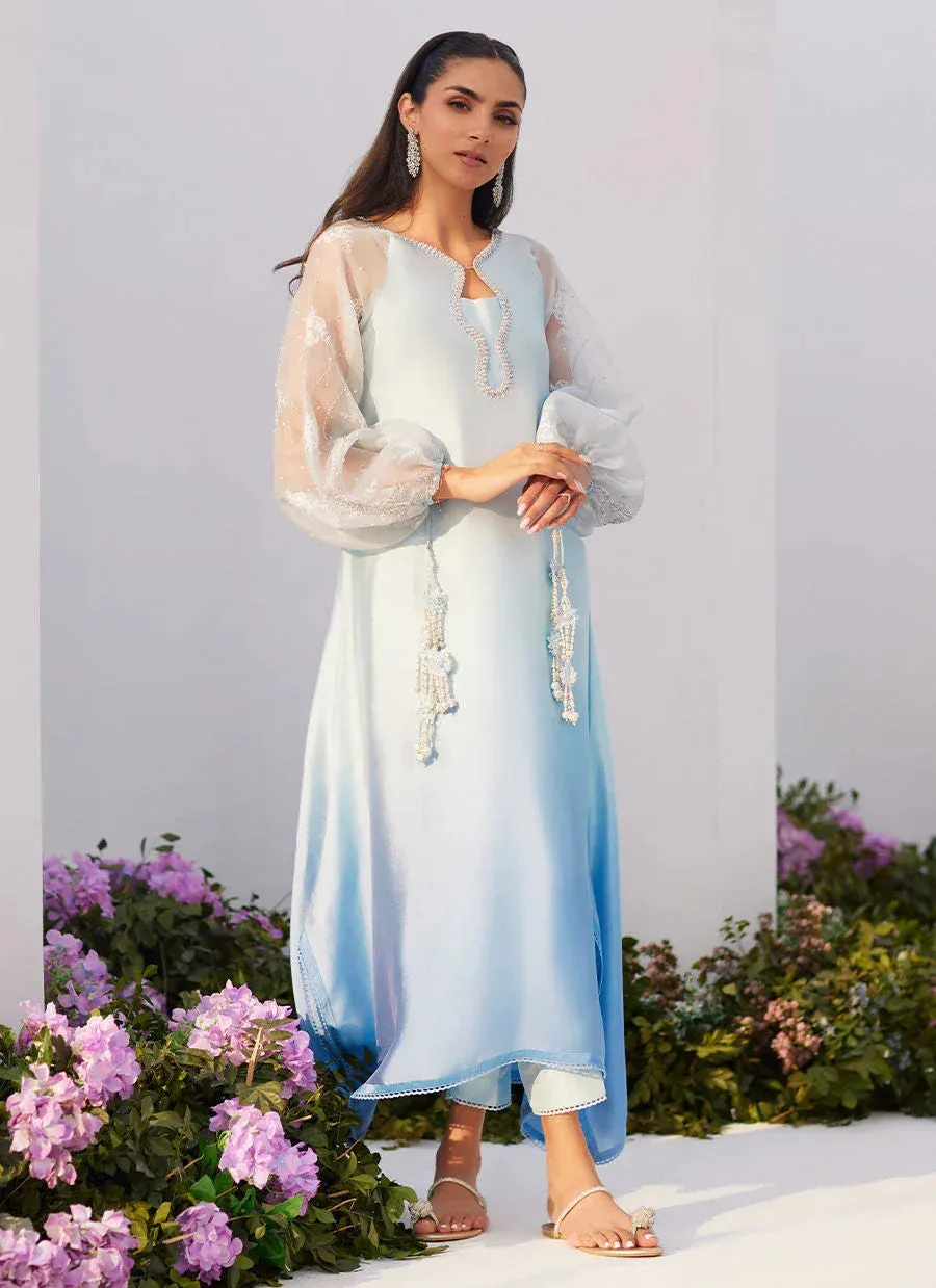 Farah Talib Aziz Zaza Luxe Pret 24 Blue Organza – view 5 – Poshaq