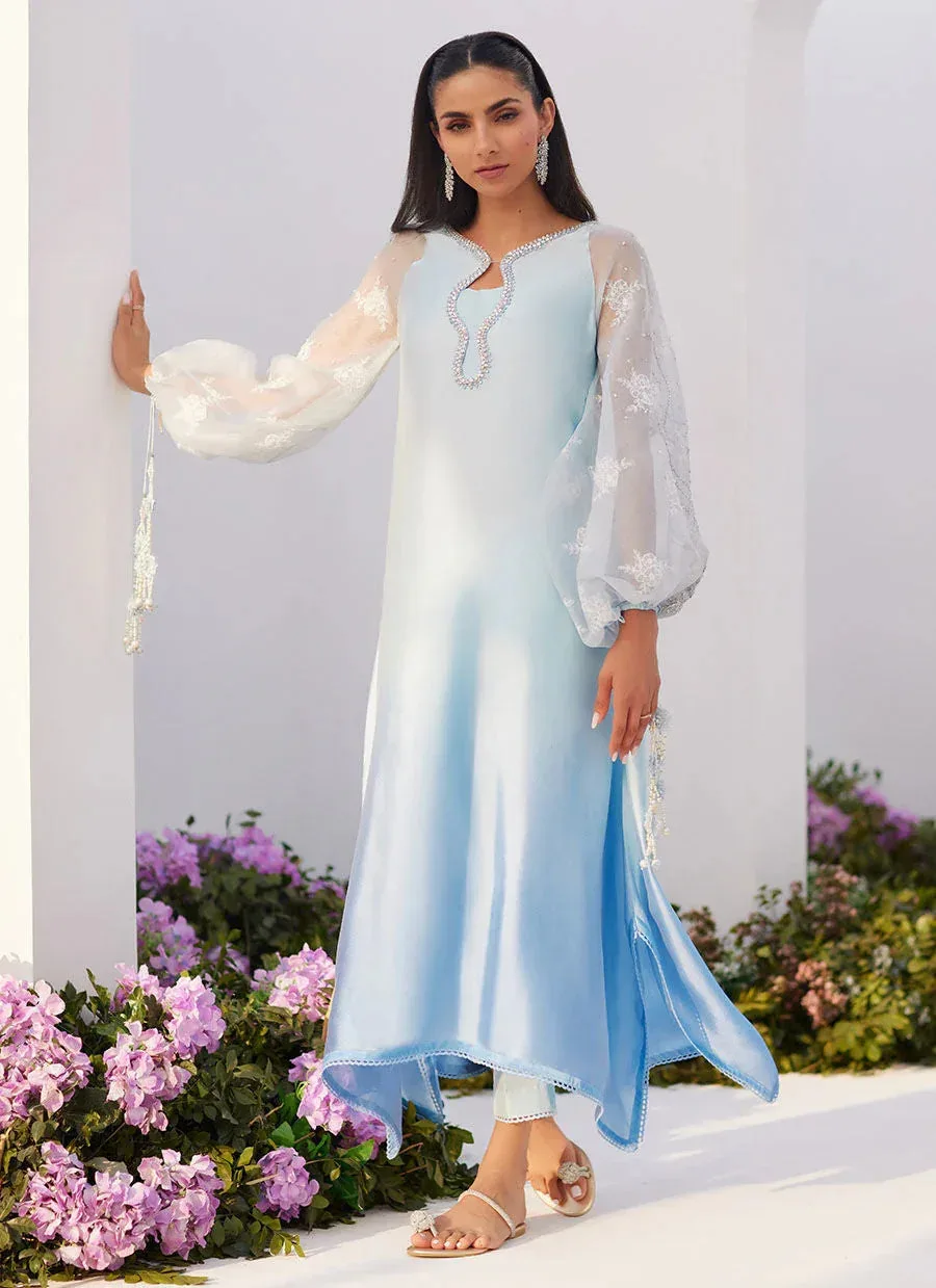 Farah Talib Aziz Zaza Luxe Pret 24 Blue Organza – view 6 – Poshaq
