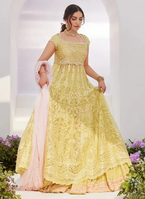 Farah Talib Aziz Zaza Luxe Pret 24 Silver Organza – view 1 – Poshaq
