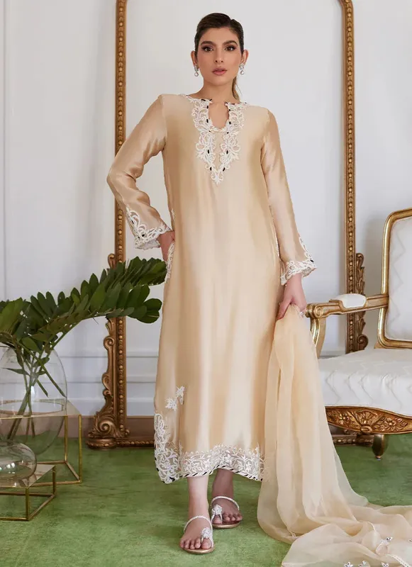 Farah Talib Aziz Luna Eid Collection 24 Beige Raw Silk – view 1 – Poshaq