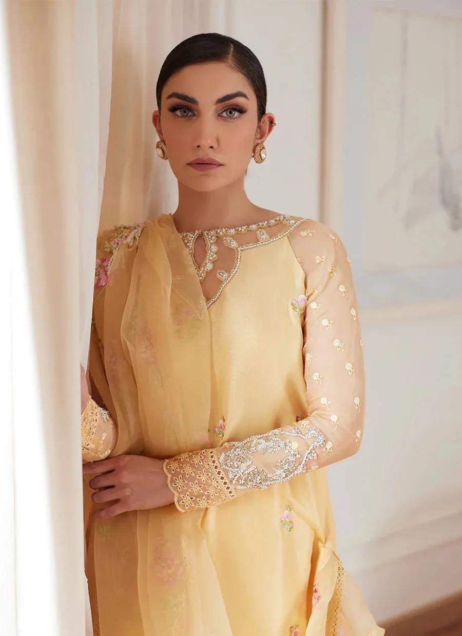 Farah Talib Aziz Luna Eid Collection 24 Yellow Raw Silk – view 6 – Poshaq