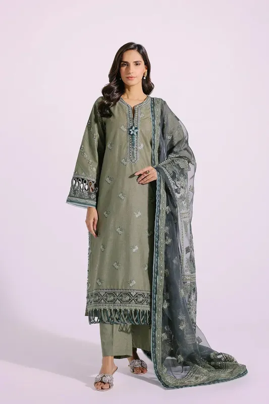 Ethnic Rozana Collection SS 24 Green Organza – view 1 – Poshaq