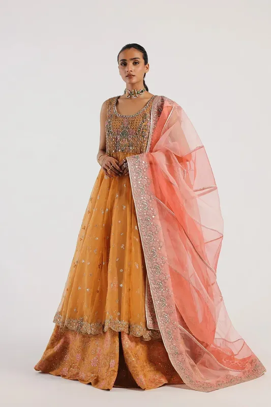 Ethnic Luxe Formal Collection Mustard Organza – view 1 – Poshaq