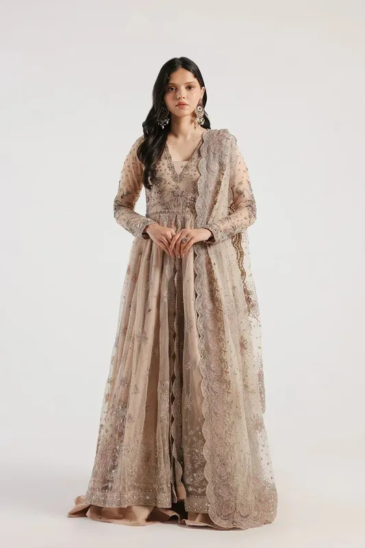 Ethnic Luxe Formal Collection Beige Net – view 1 – Poshaq