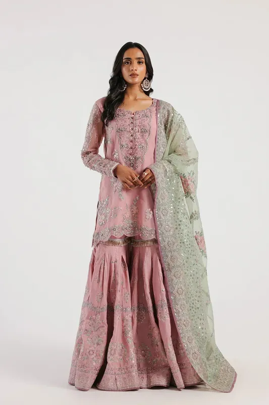 Ethnic Luxe Formal Collection Pink Organza – view 1 – Poshaq