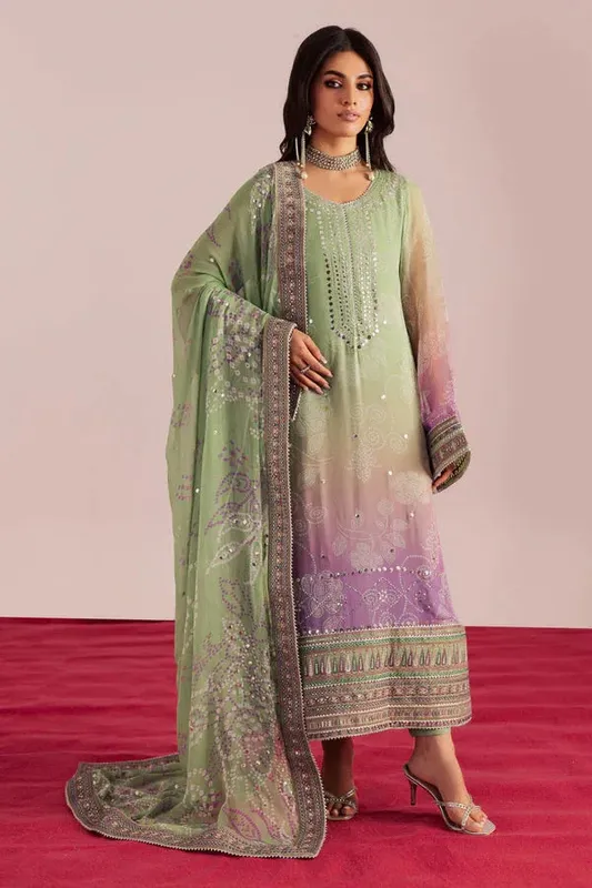 Nureh Jugni Festive Sage Green Chiffon – view 1 – Poshaq