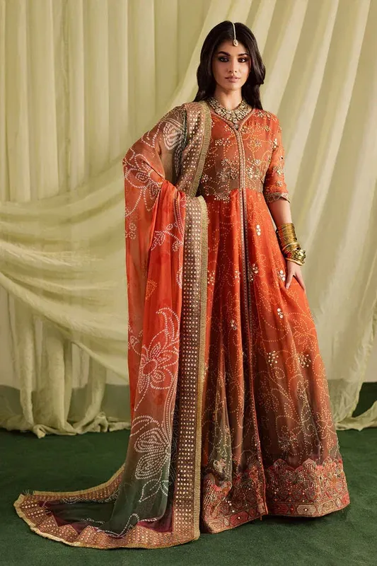 Nureh Jugni Festive Orange Chiffon – view 1 – Poshaq