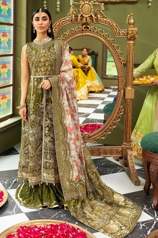 Nureh Jhoomro 25' Organza – view 1 – Poshaq