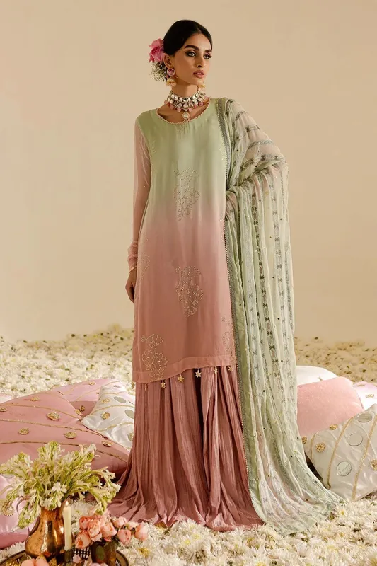 Nureh Mukeshkari Formals Peach Pink Raw Silk – view 1 – Poshaq
