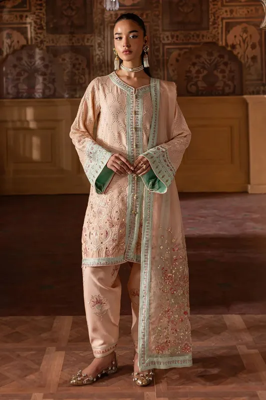 Nureh Nur Mahal Formals Pale Peach Organza – view 1 – Poshaq