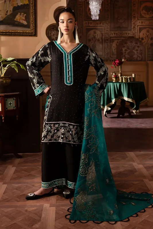 Nureh Nur Mahal Formals Black Organza – view 1 – Poshaq