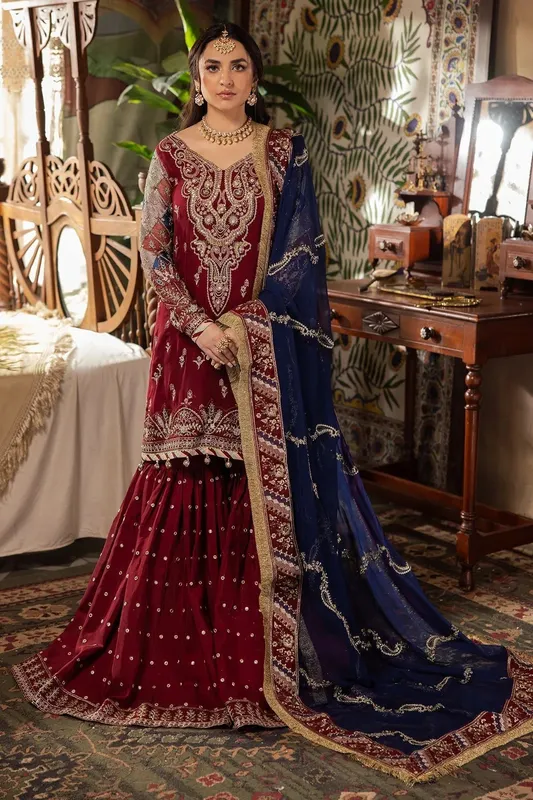 Nureh Alfaaz Formals Deep Red Organza – view 1 – Poshaq