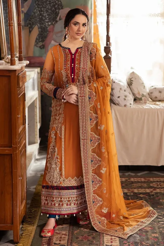 Nureh Alfaaz Formals Orange Organza – view 1 – Poshaq
