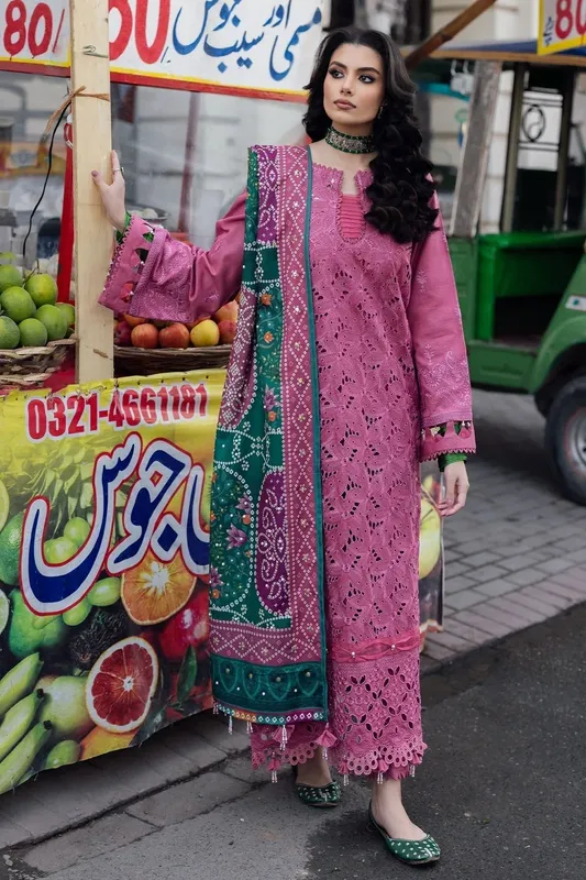 Nureh Bazaar Winter 24 Pink Khaddar – view 1 – Poshaq