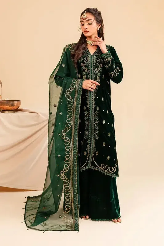 Nureh Shades of Winter Bottle Green Organza – view 1 – Poshaq
