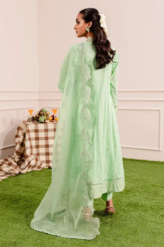 Nureh Shades Of Summer Green Organza – view 1 – Poshaq