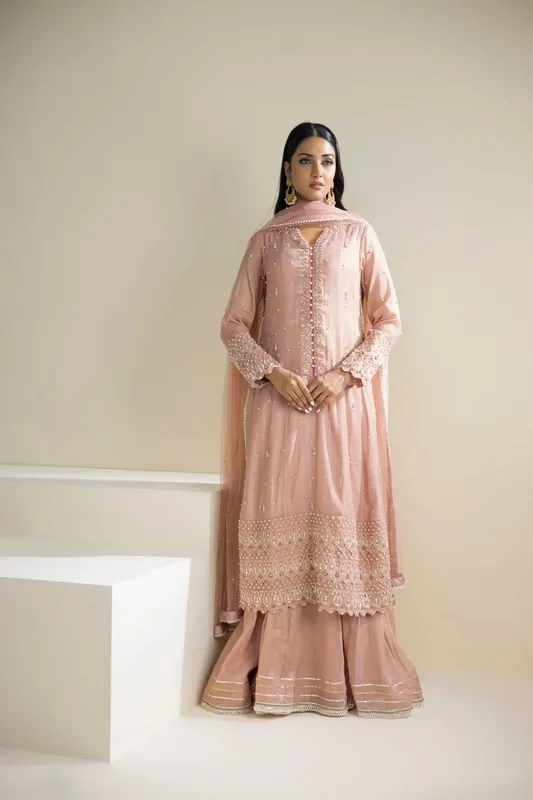 Farhat Jahan Luxury Pret Grey Net – view 1 – Poshaq