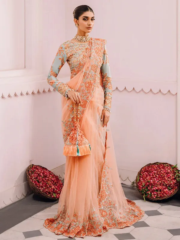 Faiza Faisal Heeriye Luxury Formals Peach Organza – view 1 – Poshaq