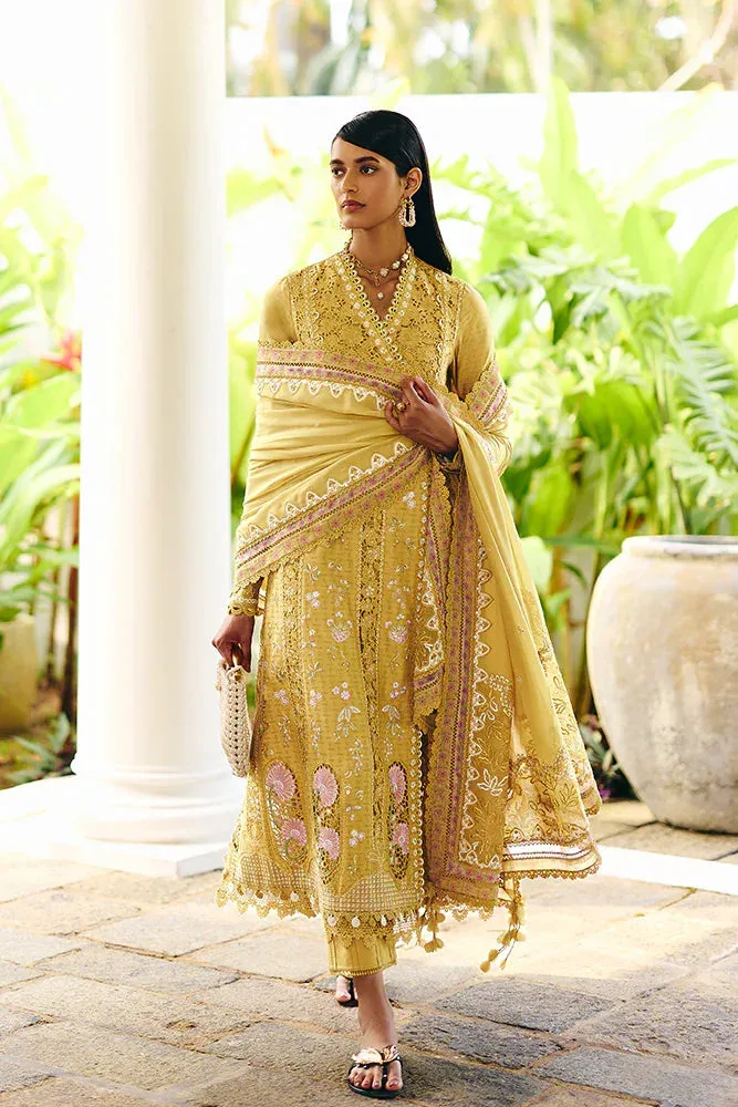 Suffuse Casual Pret 25 Mustard Chiffon – view 2 – Poshaq