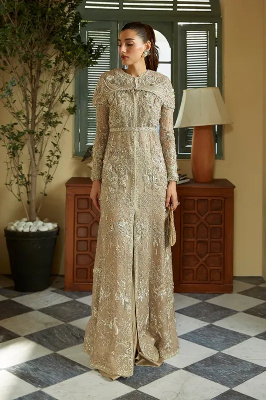 Suffuse LUXURY PRET Beige Organza – view 1 – Poshaq