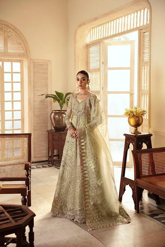 Soraya Green Organza – view 1 – Poshaq