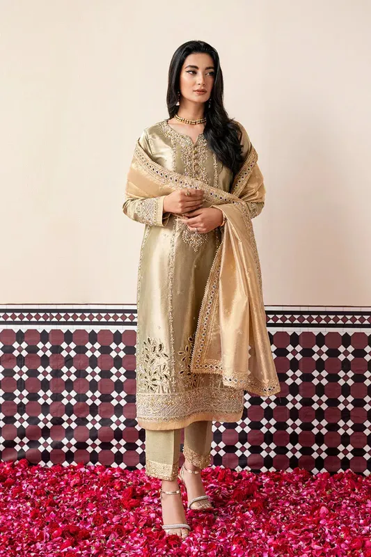Mushq Sunehri Lama Silk Silver Tissue – view 1 – Poshaq