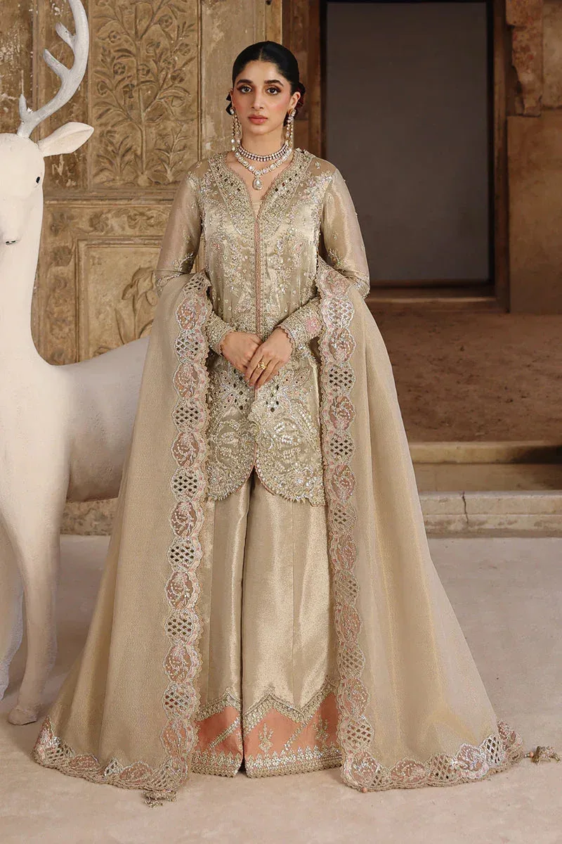 Qalamkar Shadmaani Formals 25 Beige Raw Silk – view 1 – Poshaq