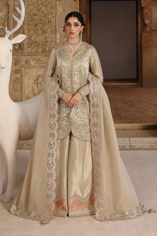 Qalamkar Shadmaani Formals 25 Beige Raw Silk – view 1 – Poshaq