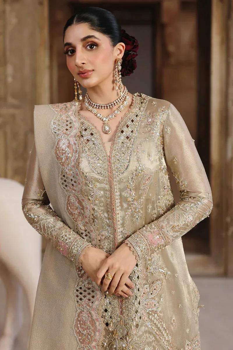 Qalamkar Shadmaani Formals 25 Beige Raw Silk – view 4 – Poshaq