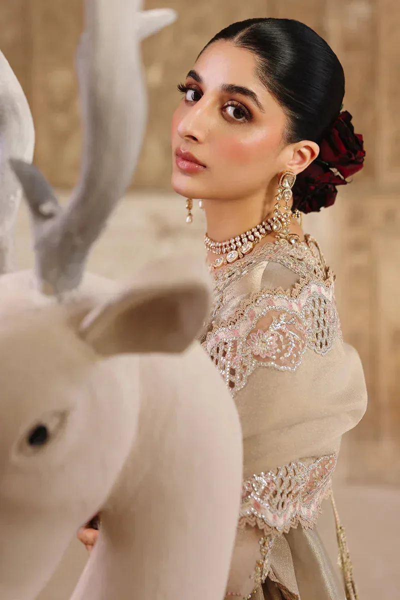 Qalamkar Shadmaani Formals 25 Beige Raw Silk – view 5 – Poshaq