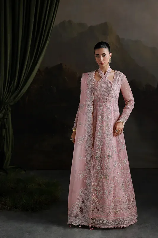 Qalamkar Elirah Formals 25 blush pink Organza – view 1 – Poshaq