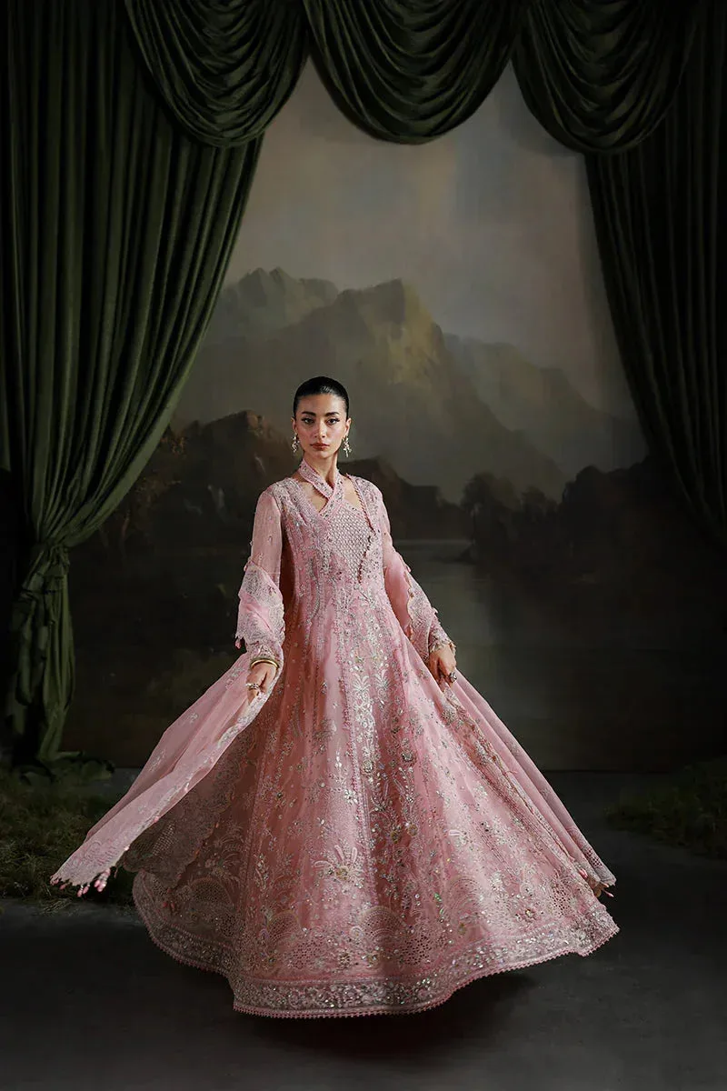 Qalamkar Elirah Formals 25 blush pink Organza – view 4 – Poshaq
