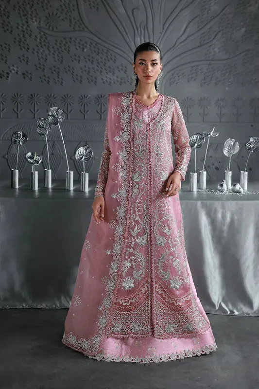 Qalamkar Elirah Formals 25 light rose pink Organza – view 1 – Poshaq
